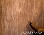 spl_274